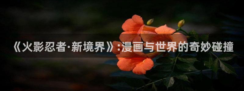 漫画岛现在改名叫什么了：《火影忍者·新境界》:漫画与世界的奇妙碰撞