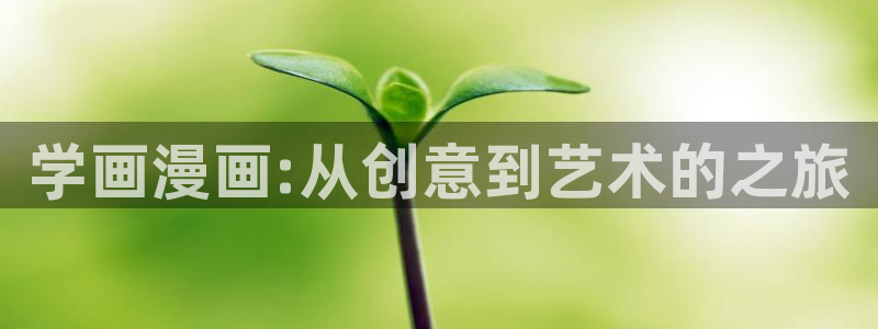 漫画岛app官方下载：学画漫画:从创意到艺术的之旅