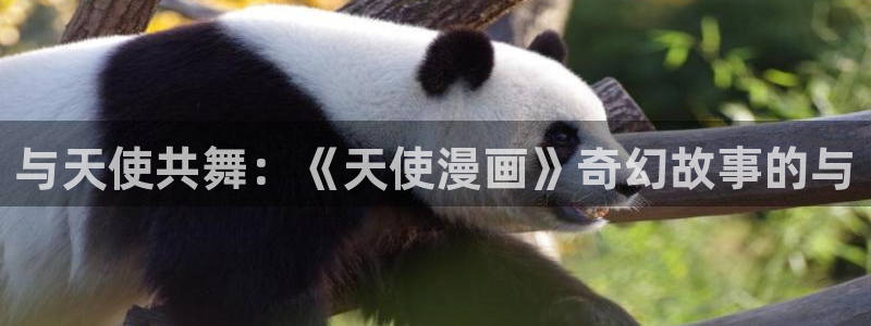 漫画岛免费版app下载：与天使共舞：《天使漫画》奇幻故事的与